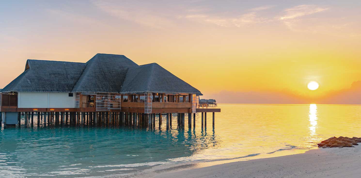 Size 8 Swimsuits Size 8 Swimwear Halocline Swimwear