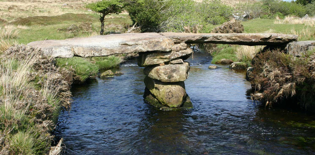 Wild Swimming: The Dartmoor Edition