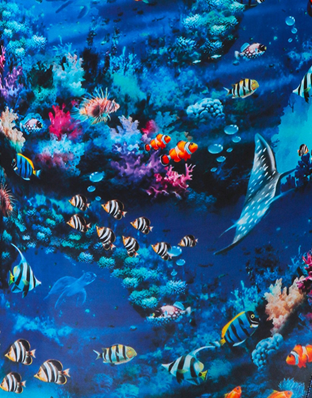 Halocline Girls Rainbow Reef Swimsuit
